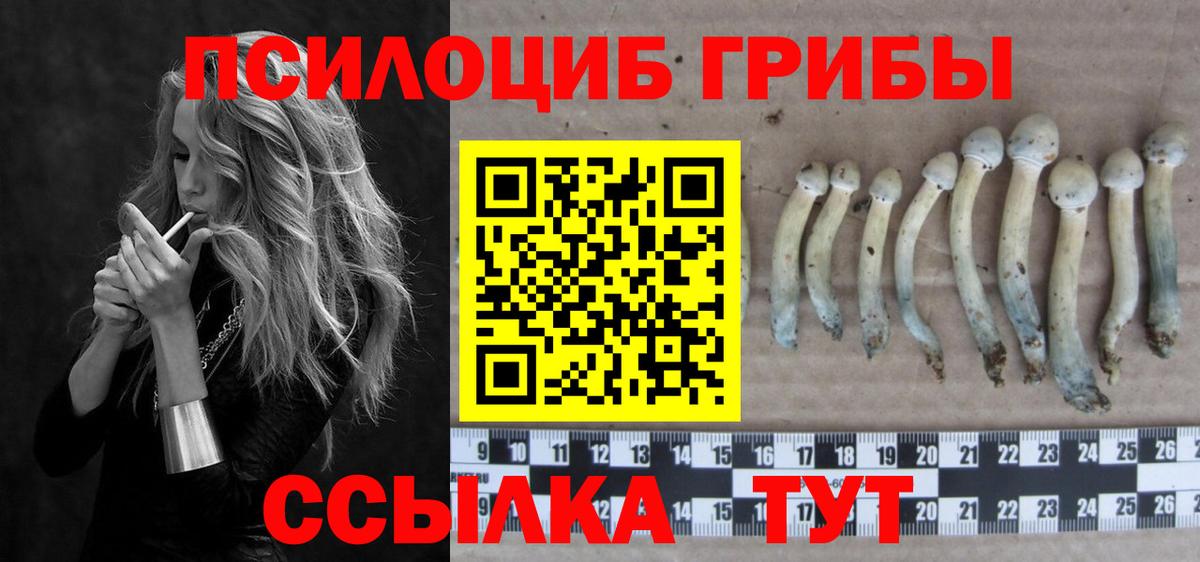 наркота  Вход с VPN  Киселёвск  Галлюциногенные грибы мухоморы 