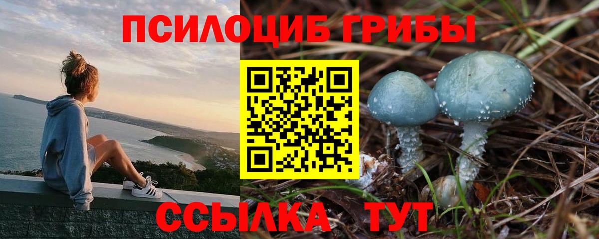 Галлюциногенные грибы MAGIC MUSHROOMS Киселёвск